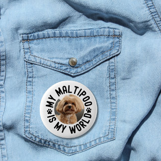 Bóton Redondo 5.08cm My Maltipoo Is My World Custom Pet Photo