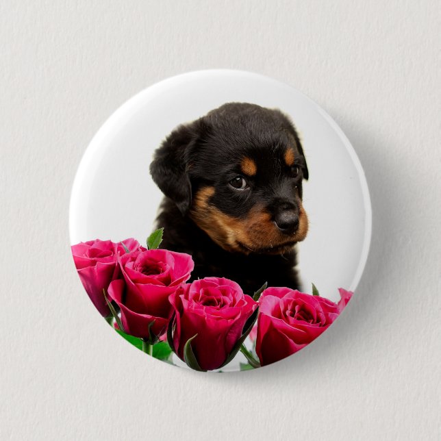 Bóton Redondo 5.08cm Namorados Rosa Rottweiler (Frente)