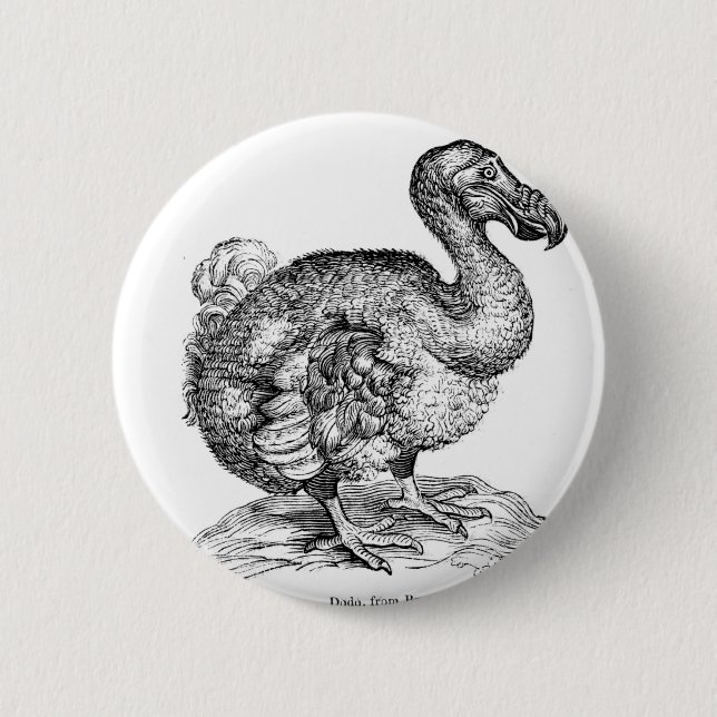 Bóton Redondo 5.08cm O Dodo (Frente)