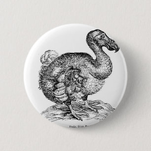 Bóton Redondo 5.08cm O Dodo