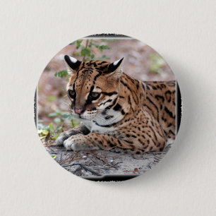 Bóton Redondo 5.08cm Ocelot 01 11x11