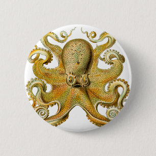 Bóton Redondo 5.08cm Octopus de Ernst Haeckel