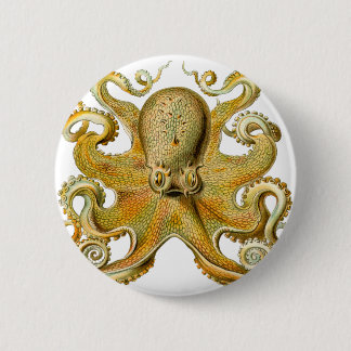 Bóton Redondo 5.08cm Octopus de Ernst Haeckel