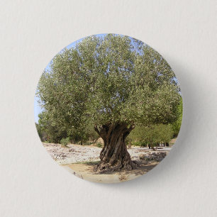 Bóton Redondo 5.08cm Oliveira de Israel