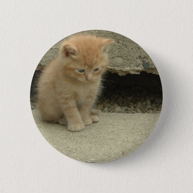 Bóton Redondo 5.08cm Orange Tabby Kitten (Frente)