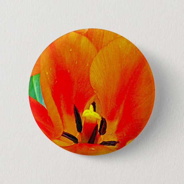 Bóton Redondo 5.08cm Orange Tulip (Frente)