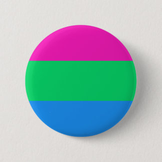 Bóton Redondo 5.08cm Orgulho Polisexual Sinalizador LGBT Orgulho LGBT