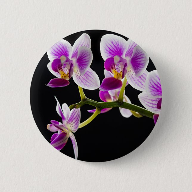 Bóton Redondo 5.08cm Orquídea branca e roxa (Frente)