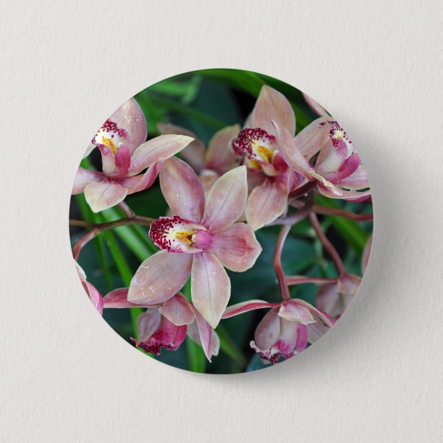 Bóton Redondo 5.08cm Orquídeas de mariposa rosa (Frente)