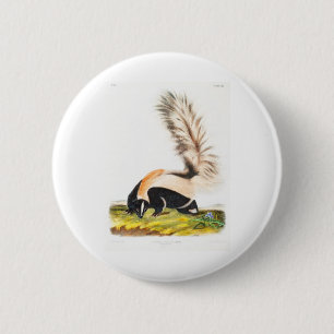 Bóton Redondo 5.08cm os quadrúpedes vivíparos por John James Audubon