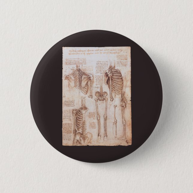 Bóton Redondo 5.08cm Ossos do Esqueleto da Anatomia Humana de Leonardo  (Frente)