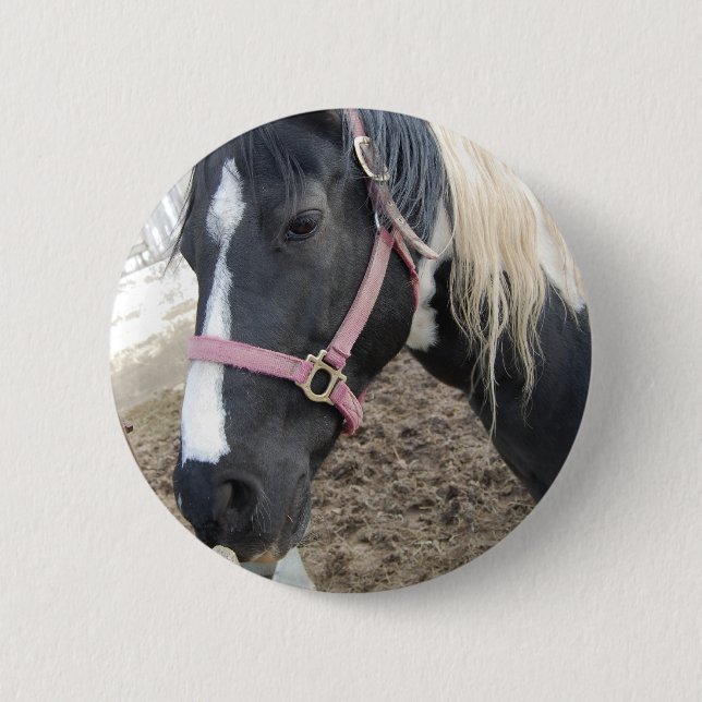 Bóton Redondo 5.08cm Paint Pinto Horse (Frente)