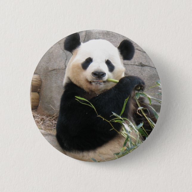 Bóton Redondo 5.08cm Panda Snack (Frente)