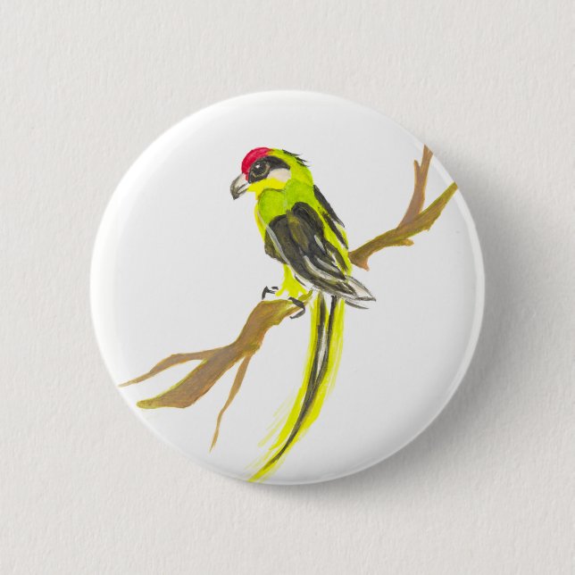 Bóton Redondo 5.08cm Papagaio num galho. Pintura por aquarela. (Frente)