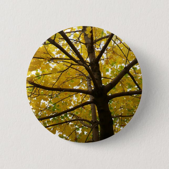 Bóton Redondo 5.08cm Par de Árvores de Bordo Amarelas Natureza de Outon (Frente)