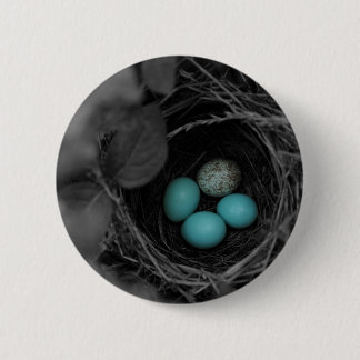 Bóton Redondo 5.08cm Parasitismo do ninho