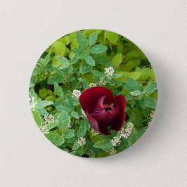 Bóton Redondo 5.08cm parterre de fleurs au printemps