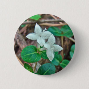 Bóton Redondo 5.08cm Partridge Berry Wildflower