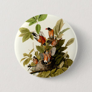 Bóton Redondo 5.08cm Pássaro Americano Robin Wildlife