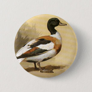 Bóton Redondo 5.08cm Pássaros dos animais selvagens do vintage, pato d
