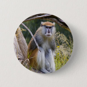 Bóton Redondo 5.08cm Patas Monkey