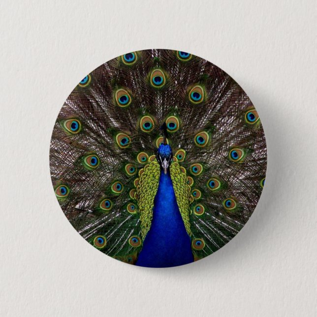 Bóton Redondo 5.08cm Peacock (Frente)