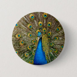 Bóton Redondo 5.08cm Peacock Pattern Peacock Trabalho de arte Painting 