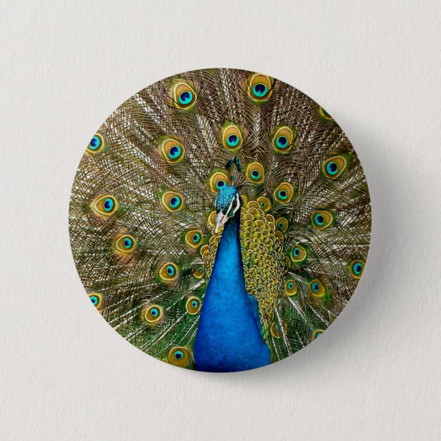 Bóton Redondo 5.08cm Peacock Pattern Peacock Trabalho de arte Painting  (Frente)