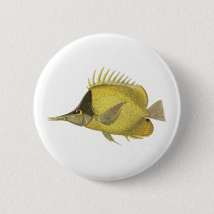 Bóton Redondo 5.08cm Peixe Amarelo Tropical Chelmon Longirostris, Vinta