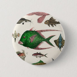 Bóton Redondo 5.08cm peixe, oceano, fofo, mar, água, animais, pesca