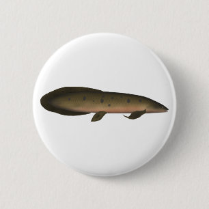 Bóton Redondo 5.08cm Peixe-pulmão australiano