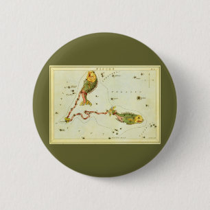 Bóton Redondo 5.08cm Peixes, Espelho de Urânia da Constelação Vintage