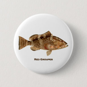 Bóton Redondo 5.08cm Peixes vermelhos da garoupa