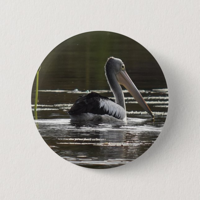 BÓTON REDONDO 5.08CM PELICANO QUEENSLAND RURAL AUSTRÁLIA (Frente)