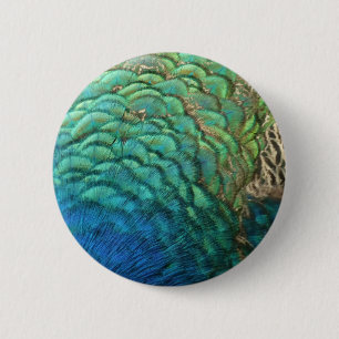 Bóton Redondo 5.08cm Penas de Peacock I Abstrato