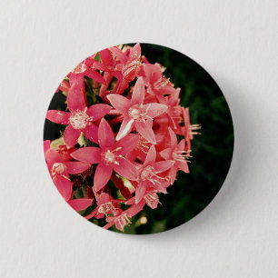 Bóton Redondo 5.08cm Pentas