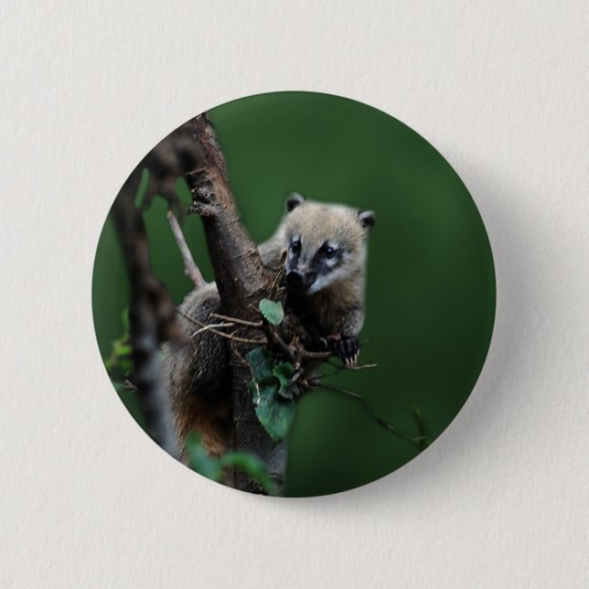 Bóton Redondo 5.08cm Pequenos malandros coati - lêmure (Frente)