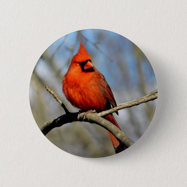 Bóton Redondo 5.08cm Perfil do Cardinal Vermelho (Frente)