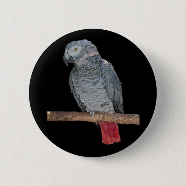 Bóton Redondo 5.08cm Pesky Parrot Badge (Frente)