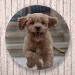 Bóton Redondo 5.08cm Pet Photo | Picture Upload Cute Adorable Dog<br><div class="desc">Design de fotografia personalizada do seu próprio modelo para incluir a sua fotografia favorita do seu cão, gato, animais de estimação, bebê, crianças, família ou amigos! É fácil personalizar a modelo para fazer a sua design com sua própria imagem. O presente perfeito para um amado! A imagem mostrada é apenas...</div>