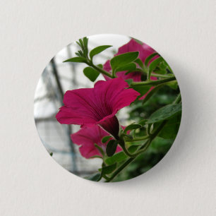 Bóton Redondo 5.08cm Petunia