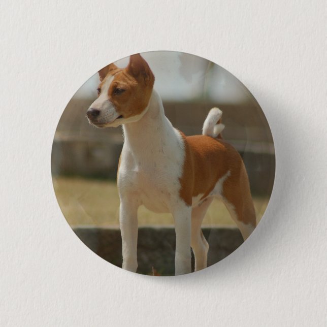 Bóton Redondo 5.08cm Pin de Basenji (Frente)