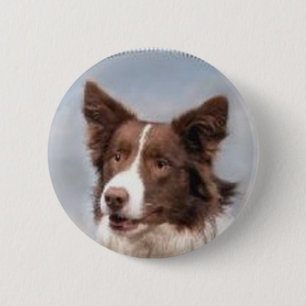 Bóton Redondo 5.08cm Pin de border collie