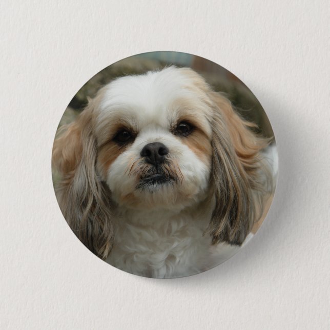 Bóton Redondo 5.08cm Pin de Furface (Frente)