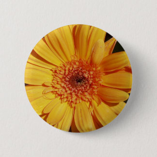 Bóton Redondo 5.08cm Pin do Gerbera - Botão
