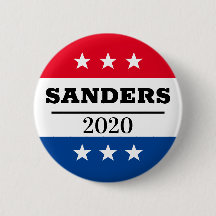 Pin Eleitoral Sanders 2020