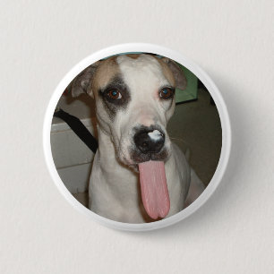 BÓTON REDONDO 5.08CM PIN ENGRAÇADO DO CÃO