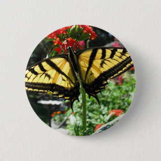 Bóton Redondo 5.08cm Pin oriental da borboleta de Swallowtail do tigre