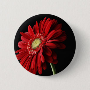 Bóton Redondo 5.08cm Pin vermelho da margarida de Gerber