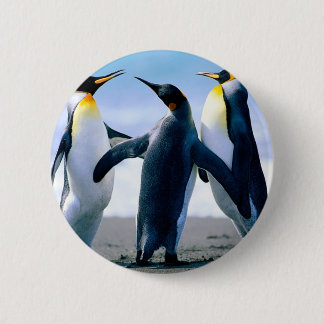 Bóton Redondo 5.08cm Pinguins